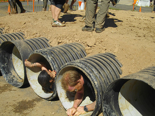 Tough Mudder 2015