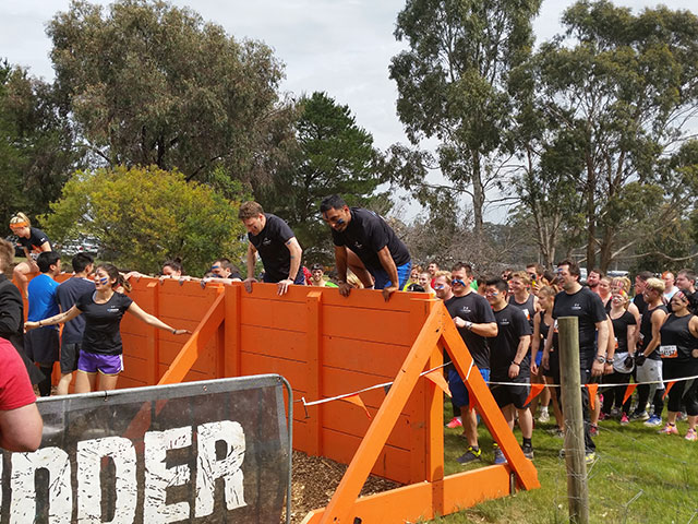 Tough Mudder 2015