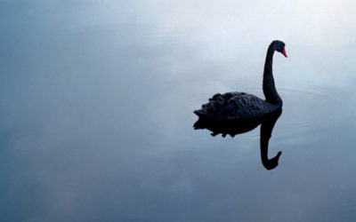 Are cyberattacks the next black swan event?
