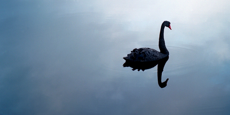 Are cyberattacks the next black swan event?