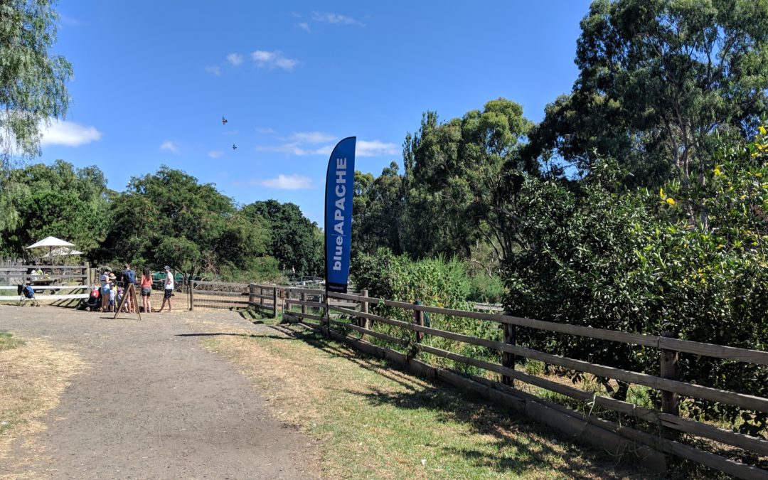 blueAPACHE Celebrates Family Day 2019 at Collingwood Children’s Farm