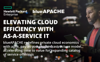 Elevating Cloud Efficiency with as-a-Service IT