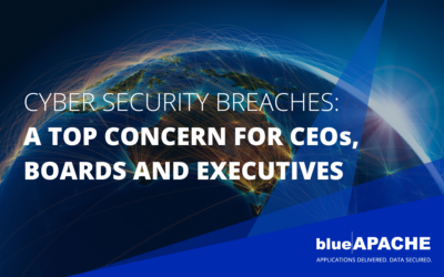 Cyber Security Breaches: A Top Concern for CEOs, Boards and Executives in 2024